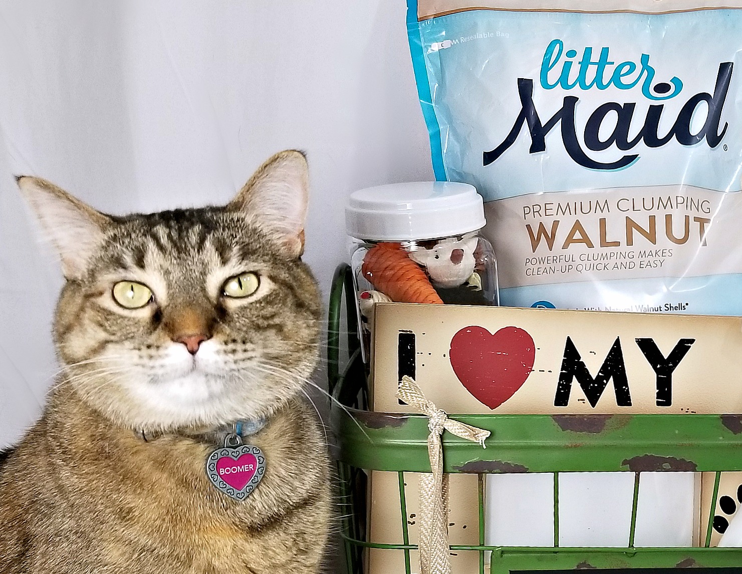 Littermaid walnut outlet litter