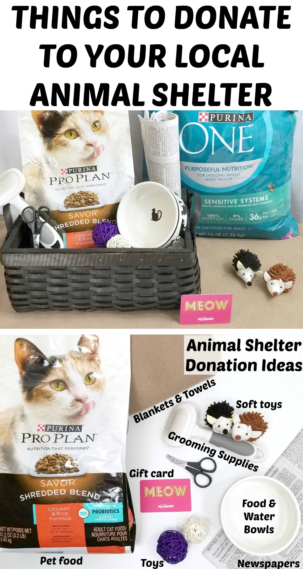 Things To Donate To Your Local Animal Shelter Making Time for Mommy