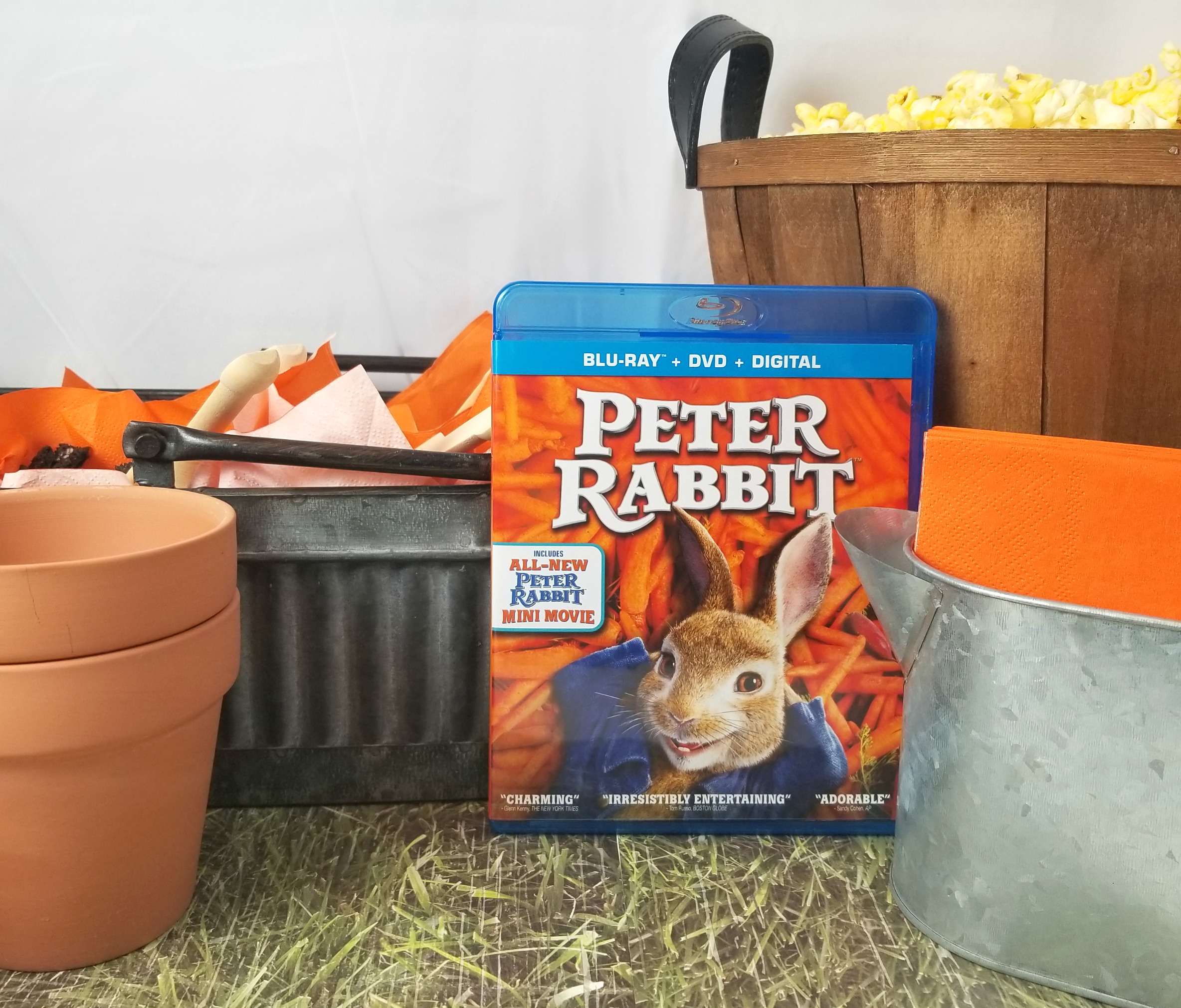 Peter Rabbit Family Movie Night With A Mr. McGregor's Garden Themed Popcorn  Bar - Making Time for Mommy