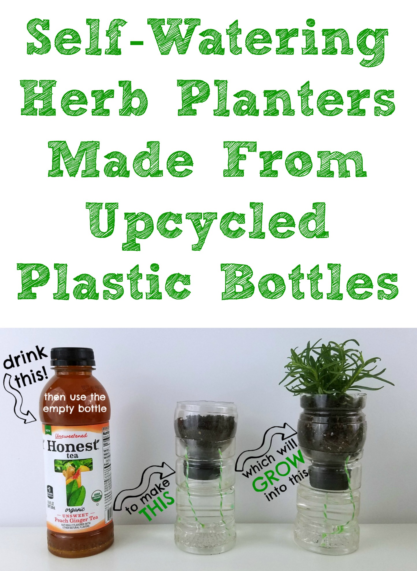 Self-Watering Herb Planters Made From Upcycled Plastic Bottles - Making  Time for Mommy