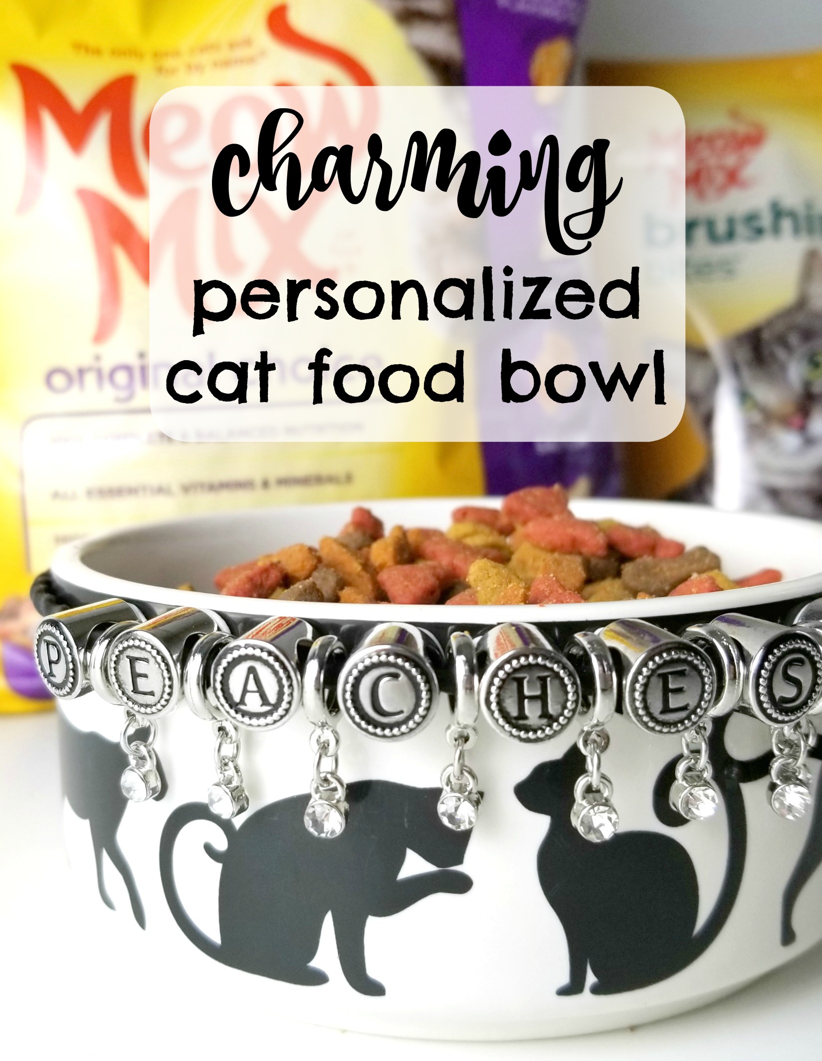 personalized cat bowls